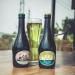 OLIBA Green Beer, la primera cerveza verde de oliva del mundo, entra en el mercado holandés