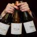 Yllera Bodegas y Viñedos revoluciona su gama "Vendimia Nocturna" con nueva imagen y el lanzamiento de un Godello inédito