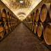 Los 10 vinos Españoles más vendidos en Amazon