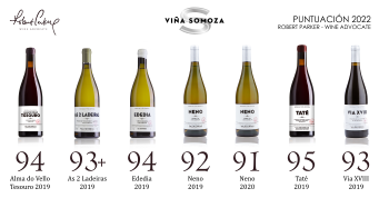 Los vinos con ADN gallego entre los mejor valorados de España por Robert Parker