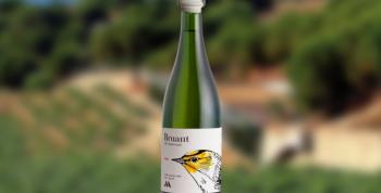 Bruant 20 Aniversario: las burbujas de una intuición