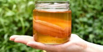La revolución de la burbuja natural: La kombucha artesanal se consolida como la bebida del bienestar en 2026