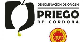 La DOP Priego de Córdoba triunfa en el concurso internacional Oil China 2024