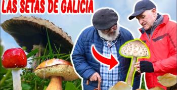 Gastronomia.comTV estrenó la serie “Raíces de Galicia con… O Fillo da Aldea”