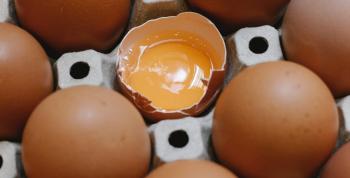 Despensa ecológica explica las diferencias entre huevos ecológicos y camperos