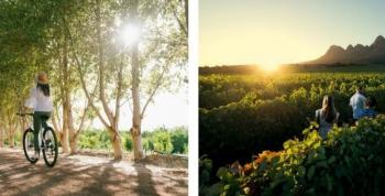 Sudáfrica: En las rutas del vino, entre fincas renombradas y tesoros escondidos