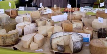 Andalucía se rinde al arte lácteo: La Feria del Queso de Andalucía celebra la excelencia artesanal este abril