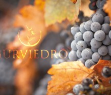 Tempranillo de Oro para Cueva del Pecado 2009